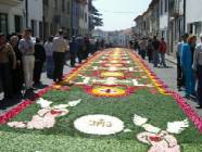 Click para ver a foto maior